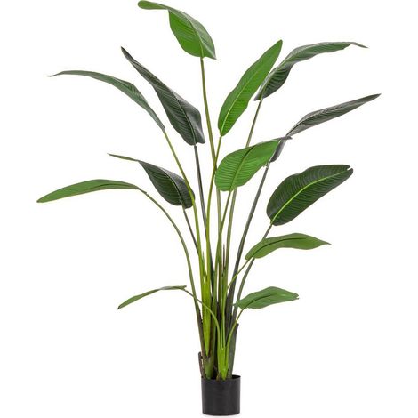 Set 2 Piante Strelitzia in Plastica Verde da Interno H235 cm - RIFLETTORE (1/5)
