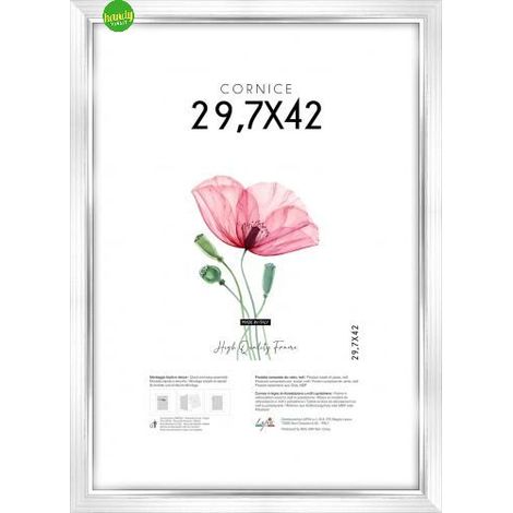 Cornice Lupia WHite Silver 29,7x42cm