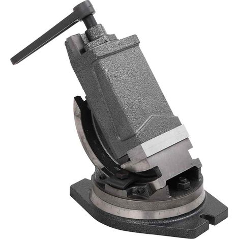 vidaXL Morsa Inclinabile a 2 Assi 100 mm