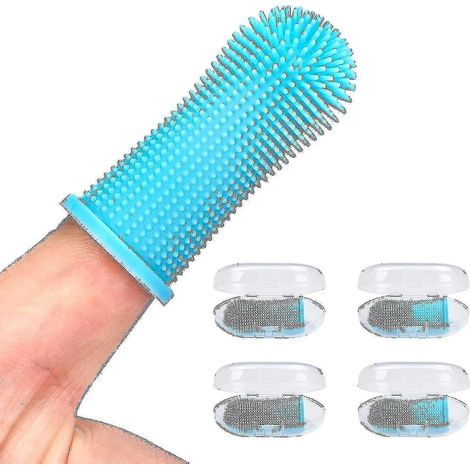Lot de 4 brosses à dents pour chien, ensemble de brosses à dents pour doigt bleues