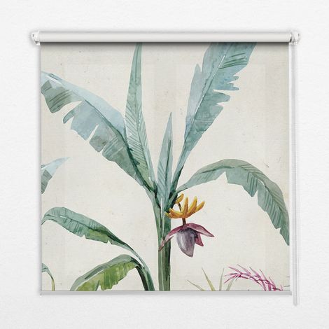 Tenda a Rullo Interna per Finestra - Tenda Filtrante Luce - Tenda Privacy - Tenda Decorativa Rettangolare - Rullo per Interni - (110 cm x 140 cm) - Natura esotica