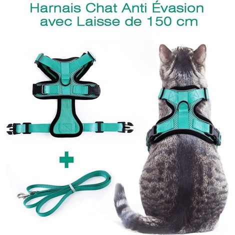 Katzengeschirr mit kleiner Hundeleine, verstellbares Kätzchengeschirr, grün, Größe S, reflektierendes Katzengeschirr-Halsband, atmungsaktive Weste für Kaninchen, Europäisch Kurzhaar, Maine Coon, Perse (1/5)