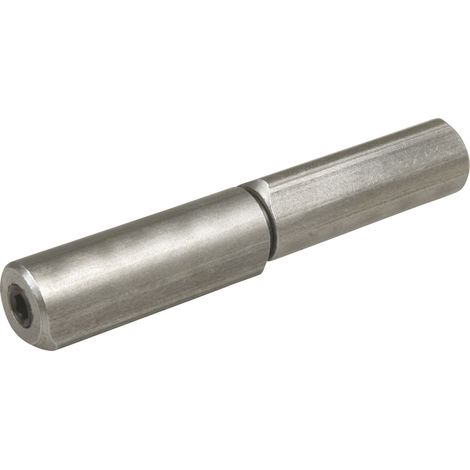 Bandrolle höhenverstellbar, Bandh. 150 mm, ø 22 mm, Stift 14 mm, Stahl blank (1/3)