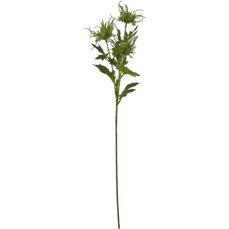 Sea Holly Spray (Single Stem Flower) - Plastic - Height 67 cm - Green