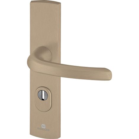 Ensemble de Poignées Blindées sur Plaque Béquille pour Porte d’Entrée (pour Cylindre Européen), Coloris Ambre (1/2)