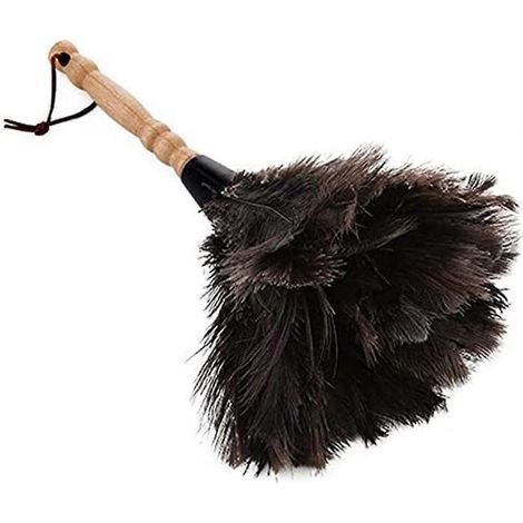 Plumeau en plumes d'autruche noires, plumeau pour voiture, nettoyant intérieur/extérieur, plumeau pour stores, clavier de cuisine (1/4)
