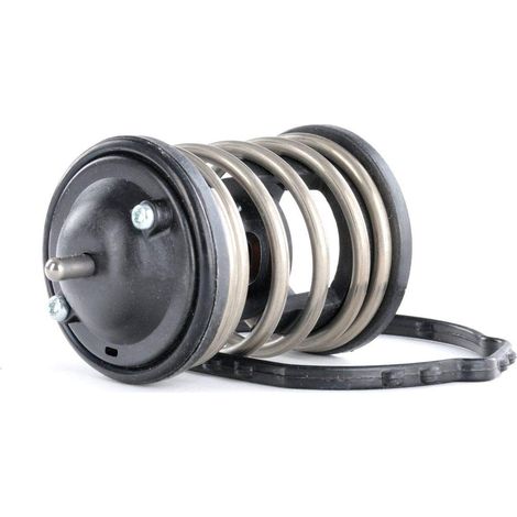 Gates TH47487G1 7412-10665 Termostati,