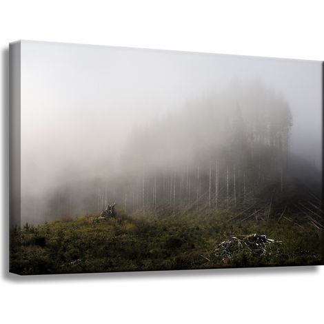 Leinwanddruck Natur Nebel im Wald 60x40 cm