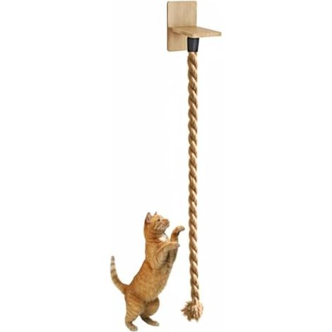 Corde d'escalade pour Chat,Echelle Murale de 130/150 cm avec Vis de Fixation pour Chats D'intérieur et D'extérieur (1/5)