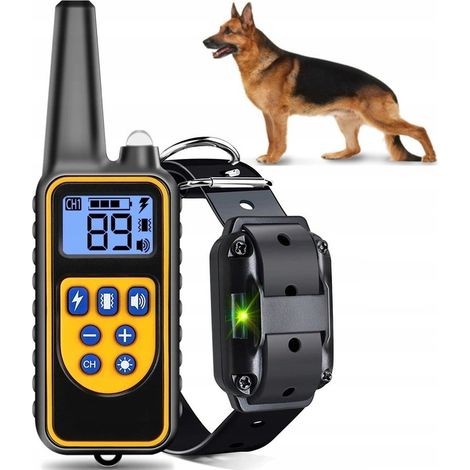 Collare elettrico per addestramento cani, impermeabile, con telecomando.
