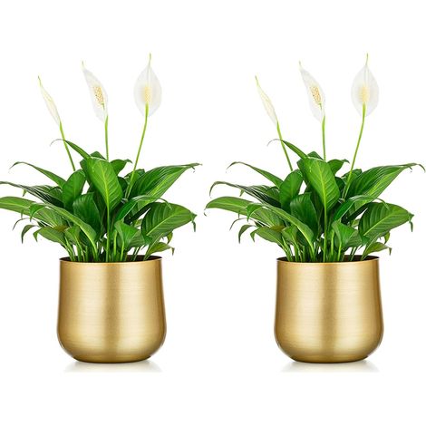 Pot de Plante Vase: 14,5cm Hauteur, Métal, avec Trou de Drainage 2 Pièces, pour Fleur, Mariage Intérieur/Extérieur, Balcon, Affichage (1/5)