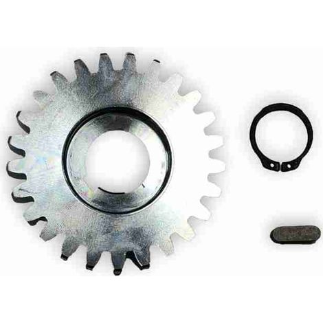 BFT – 2600605 – SP x2 PIGNONE ACCIAIO Z.25 ERGO