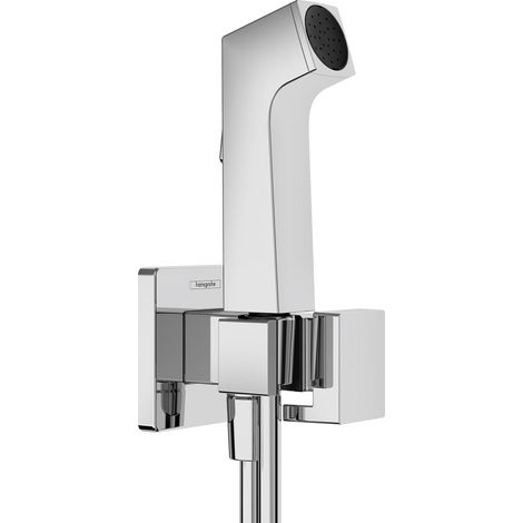hansgrohe Bidette Douchette à main 1jet E EcoSmart pour eau