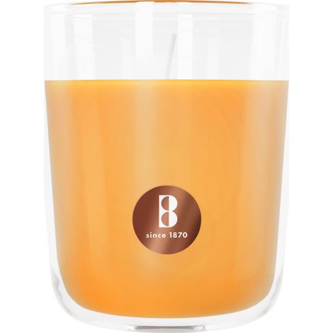 Bolsius Duftkerze True Scents Mango 9 cm im Glas