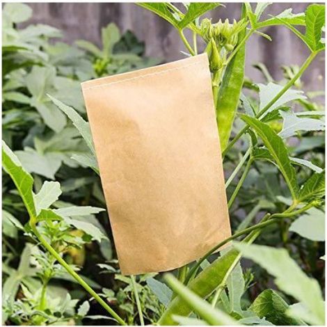 Lot de 100 Pochette Kraft Graines Sachet Sac Mini Enveloppe en Kraft Vintage Papier pour Semences Graines Bonbon Bijoux Étiquette (1/4)