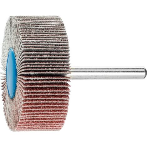 PFERD Fächerschleifer Ø 50 x H 20 mm Körnung 80 - 44504086