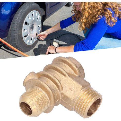 Accessoires pour pompe à air : clapet anti-retour 1/23/4-16 dents10 (1/5)