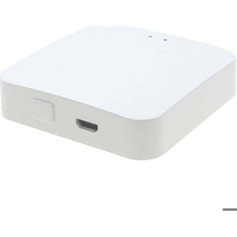 Passerelle Multifonction Hub 3.0 pour Maison Connectée sans Fil, Commande Vocale Compatible avec Alexa Google Home (1/4)