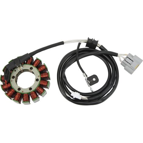 Bobine de Stator de générateur 28P 81410 00, bobines d'alternateur à faibles pertes magnétiques pour Grizzly 550 700 (1/5)