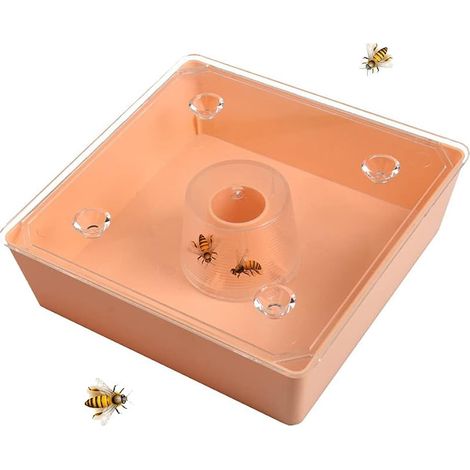 Mangeoires à colibris pour l'extérieur pour ruche et ruche, alimentation en eau, alimentation carrée, outil d'apiculture européen (1/5)