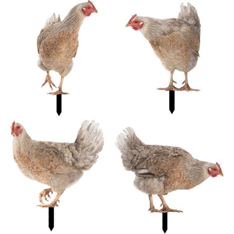 Coq Décoratif Piquet Jardin Extérieur, Ornement Animal Poule Déco, Lot de 11 Pièces pour Espace Vert