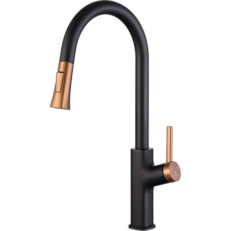 HOXILEELEO - Homelody – Mitigeur de cuisine noir et doré avec douchette extractible – Bec haut 275 mm rotatif 360° – 2 jets au choix – Finition brossée résistante (1/5)