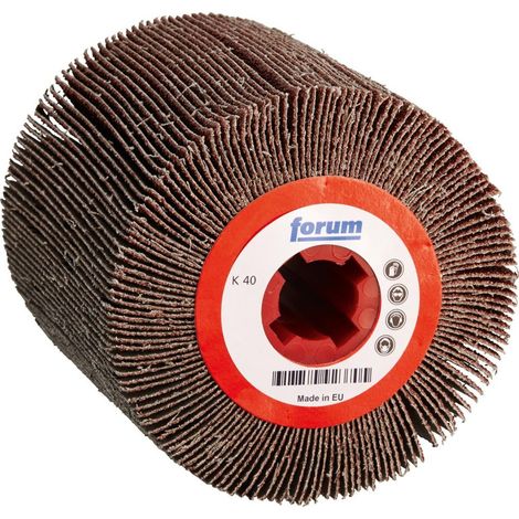 Forum Schleifmoprad K120 100 x 100 x 19 mm (1/2)