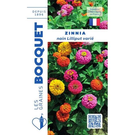 Zinnia double nain varié Lilliput - 1,5g