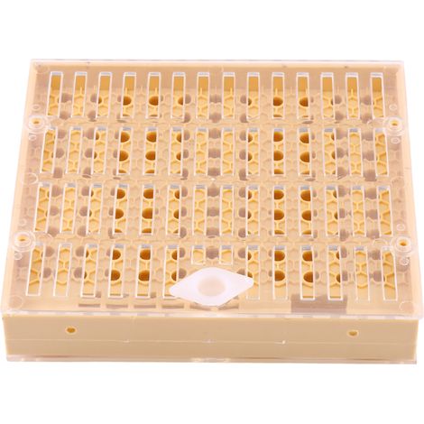 Équipement apicole : cupules d'élevage de reines, ruches, blocs de barres, opercules, rouleaux à poils, cages.