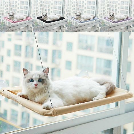 Hamac à ventouses pour chat, lit suspendu pour chat de fenêtre, étagère lavable (1/4)