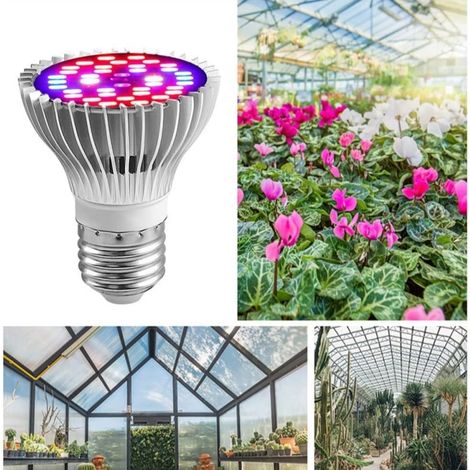 Ampoule LED horticole Spectre complet - 30W - 40 LED - Douille E27 - Croissance des plantes (1/5)