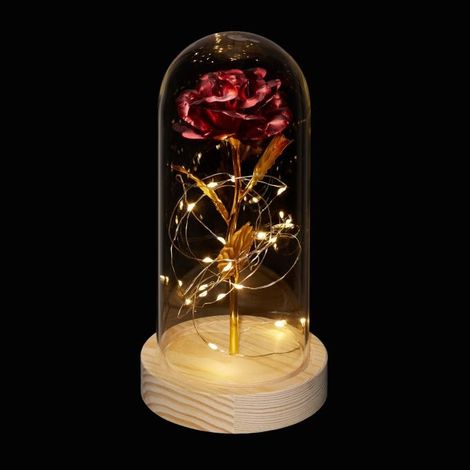 Rosa eterna en un vaso (1/5)