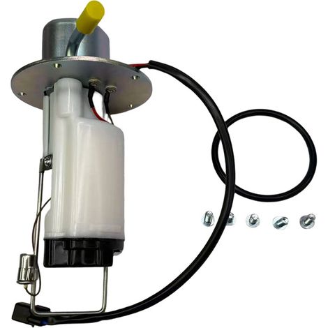 Die Kraftstoffpumpenbaugruppe 49040-0011 ist mit Kawasaki-Direkteinspritzpumpen kompatibel. Mengenrabatte sind verfügbar.