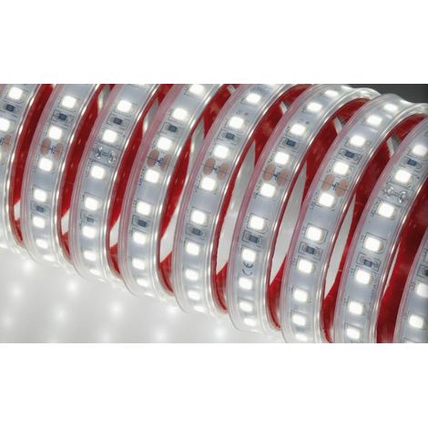 Nobile illuminazione 5 metri di striscia led 13w/m 6000k 50101/f