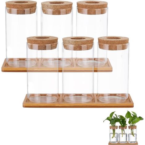 Station de Propagation, Terrarium pour Plantes avec Couvercle et Support en Bois Pot de Fleurs de Bureau en Verre Vase Hydroponique pour la Décoration de la Maison, 13.3x6.5cm (1/5)