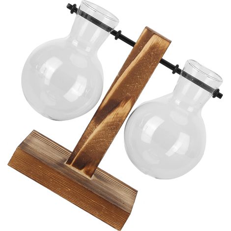Vase innovant avec support en bois, vase hydroponique en verre transparent, décoration de bureau - Type C (1/5)