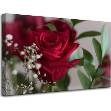 Leinwanddruck Botanische rote Rosen 80x50 cm