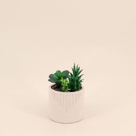 Plante grasse artificielle pot beige
