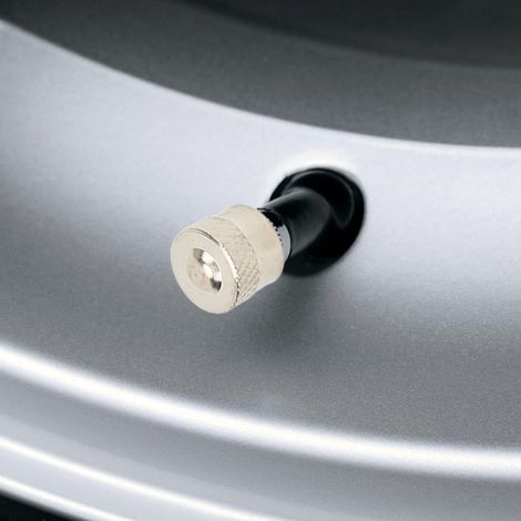4 bouchons anti-poussière pour obus de valve 1120779 pour BMW (1/5)