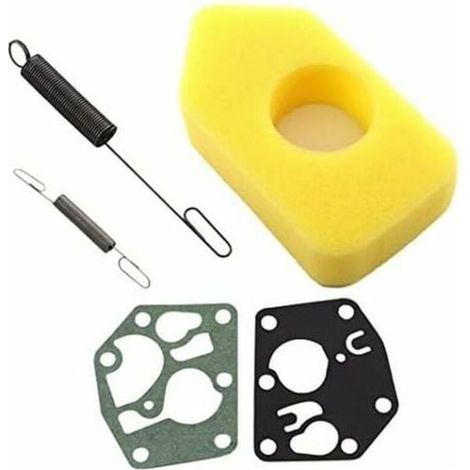 Gruppo filtro aria 698369, molla del regolatore 691859, diaframma 495770, 795083 per motori Briggs & Stratton Classic Sprint Quattro serie 450 500 550 da 3,5-4,5 CV. (1/4)