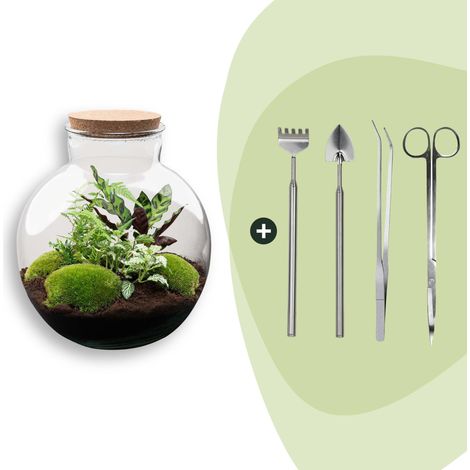 Kit Terrarium Plante DIY Écosystème Autonome avec Éclairage Verre et Outils Ø 31 x 30 cm - PANGIVO