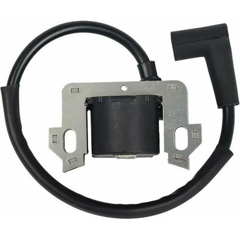 Module D'allumage - Compatible Honda GCV135 GCV160 GCV190 GSV160 - Pour Moteur Thermique - 1 Pièce (1/5)