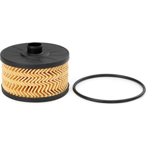 Le filtre à huile 152095084R convient aux Dacia Duster Dokker, Renault Clio et Nissan. (1/4)