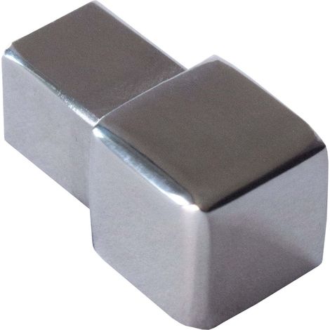 Dalsys Endstück für Fliesenschiene Quadratprofil Edelstahl, Fliesenprofil - Poliert 10mm, 1 Stück