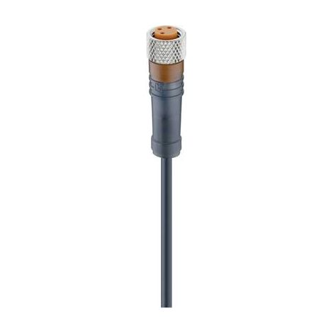 Lumberg Automation 12955-1 Connettore confezionato per sensore o attuatore M8 Presa dritta 5.00 m Numero di poli: 3 1 p