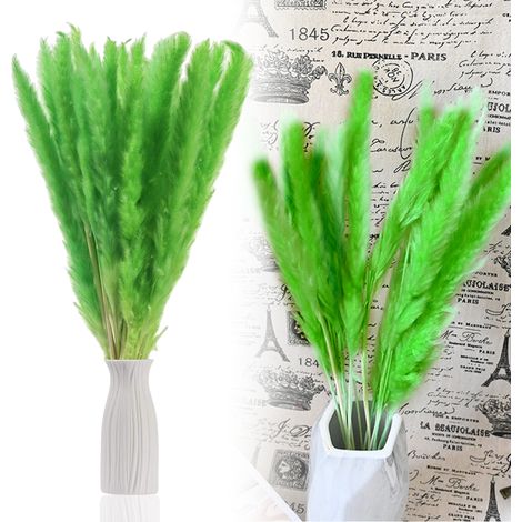 Pampas Grass - Natural Dried Flower Stems - 30 Pieces - 44 cm - Pink White Purple Brown Green Yellow Orange Blue - DIY Home Decor Wedding Photography (1/5)