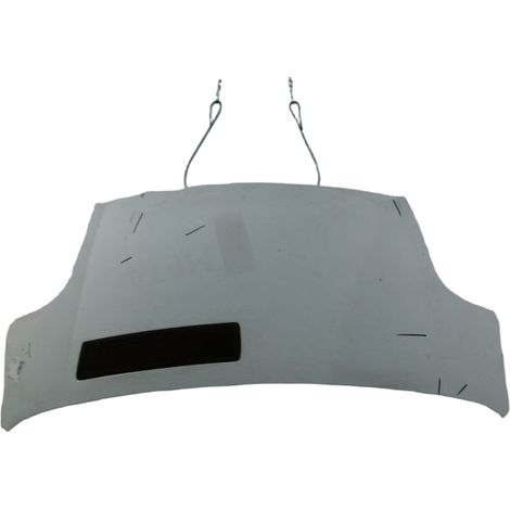 Capot RENAULT Trafic [PRODUIT D'OCCASION]♻️651005147r (1/3)