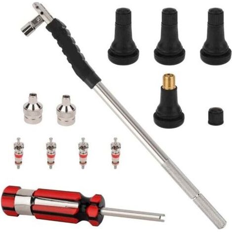 PA-Reifenventil-Aus- und Einbauset, TR413 Clip-on-Schlauchlosventil (mit Ventileinsatz), Einkopf-Ventileinsatzauszieher und gerillte Ventilkappe (1/4)