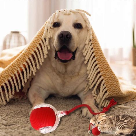 Balle interactive pour chat grise (comme sur la photo) (1/5)