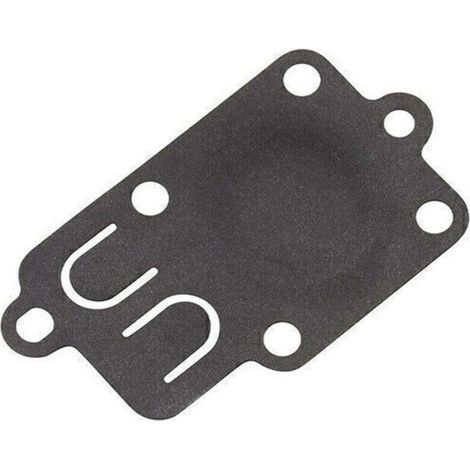 Membrane carburateur Briggs et Stratton (1/3)